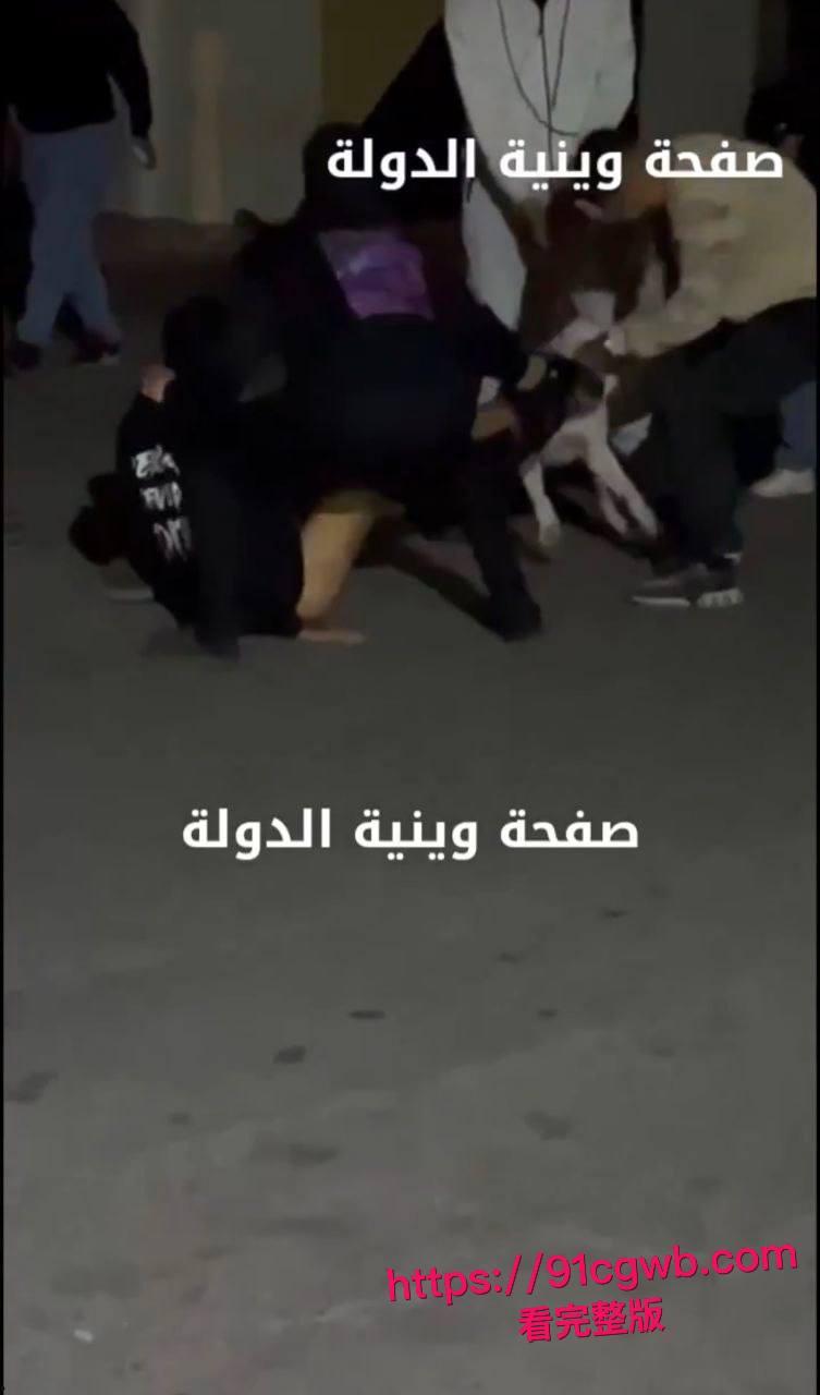 简直是看得蛋疼!黎巴嫩贝鲁特街头小伙裤裆惨遭比特犬幼犬狂咬!睾丸被生生扯出伤口血肉模糊低吟求救全过程偷拍视频疯传-1