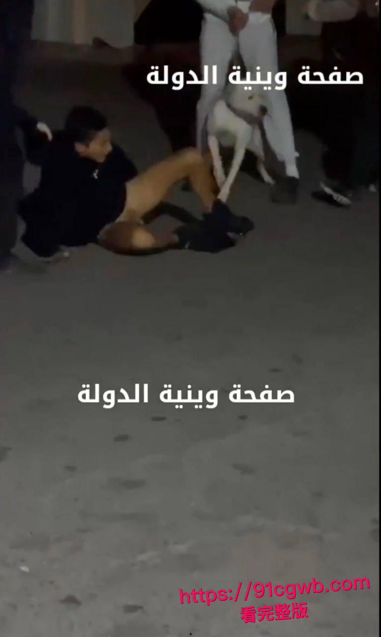 简直是看得蛋疼!黎巴嫩贝鲁特街头小伙裤裆惨遭比特犬幼犬狂咬!睾丸被生生扯出伤口血肉模糊低吟求救全过程偷拍视频疯传-2